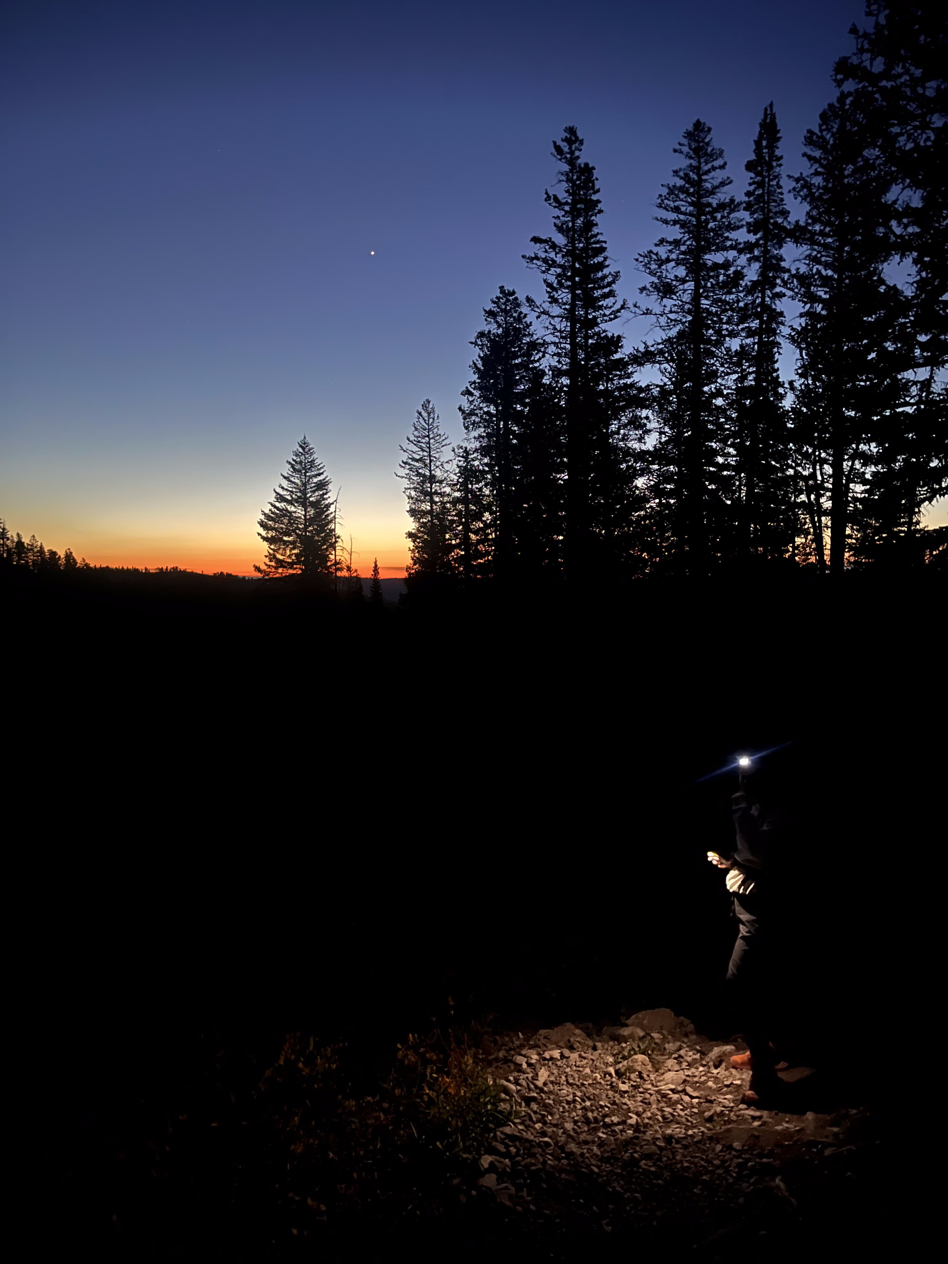 What it's like to begin therapy