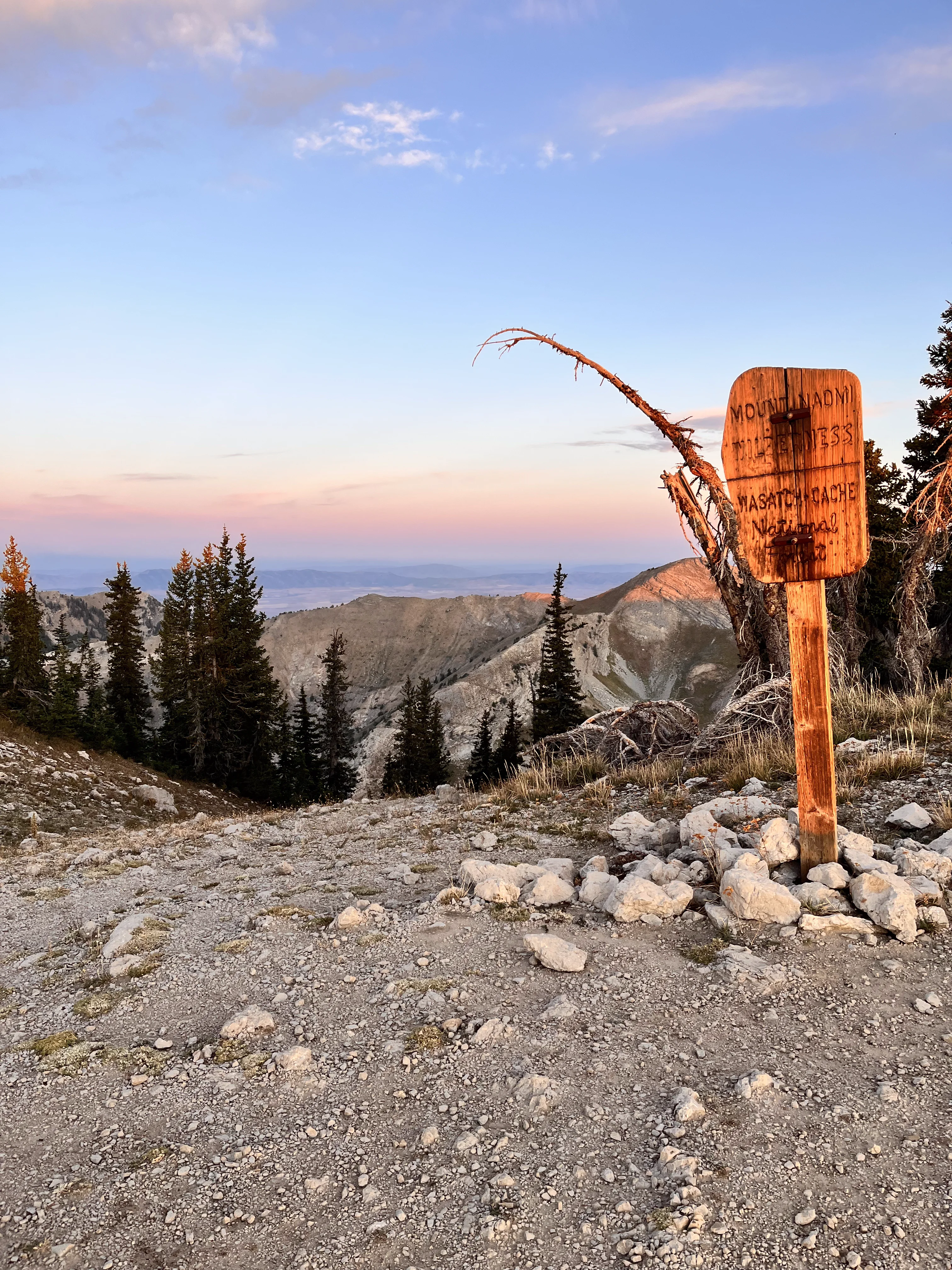 What happens in a psychological assessment?