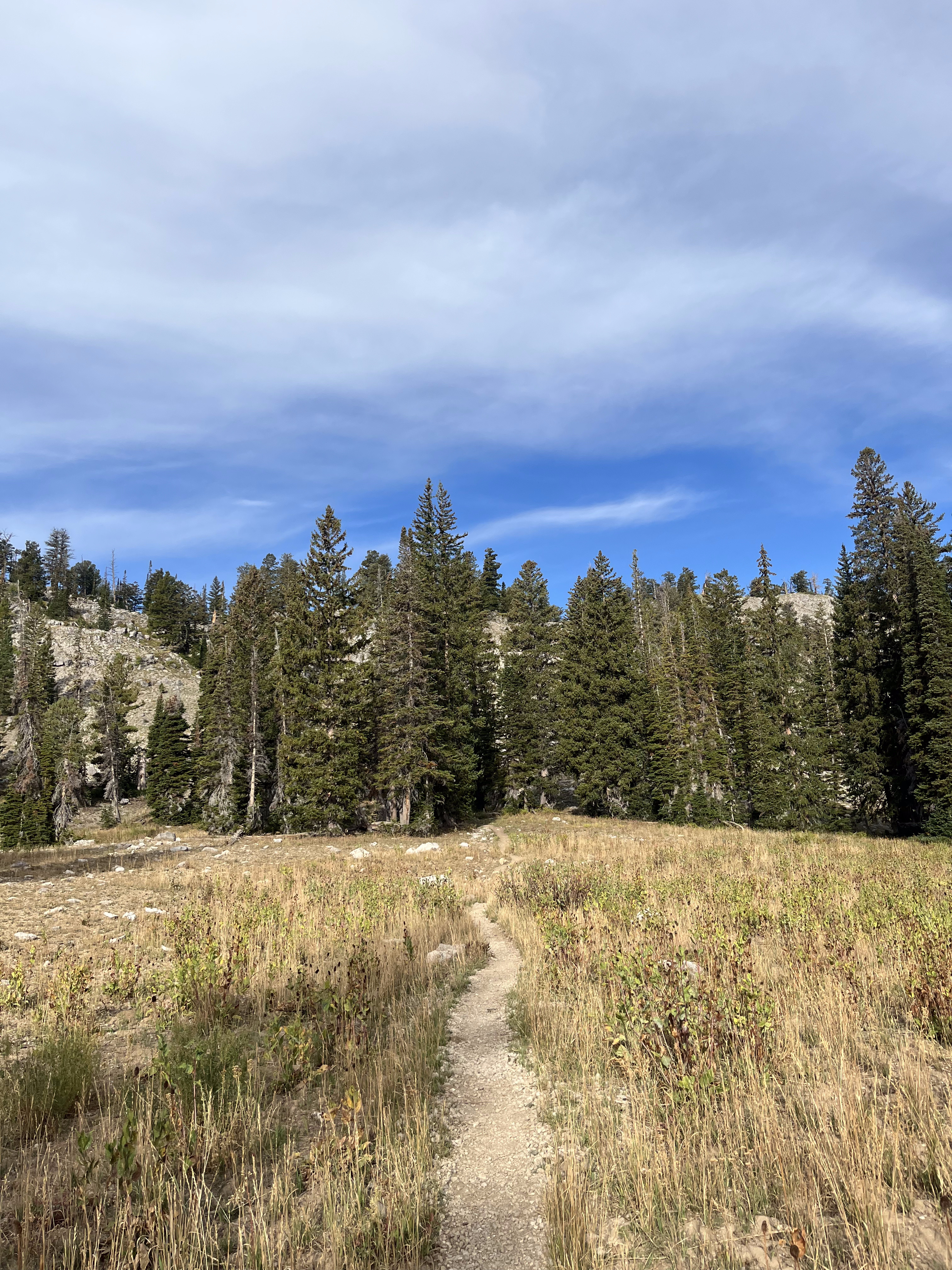 Which kind of therapy is right for me?